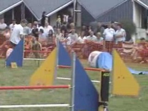 Agility (G.P.F. et Jumping d'Obernaumen 2008)