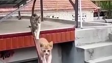 Mom Teaching Her Baby 😍😍😍