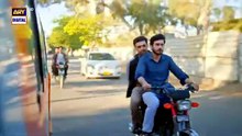 Bas Tera Saath Ho Episode 13 | Digitally Presented by Diamond Paints & Vince Care Shampoo | Farhan Saeed | Sana Javed | ARY Digital Drama