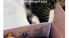 Hey. . . What are you doing. .🙀🙀🙀