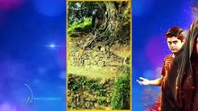 Sirf Tum Episode 37 - [Eng Sub] - Anmol Baloch - Hamza Sohail - Mohsin Abbas Haider - 19th Aug 2023