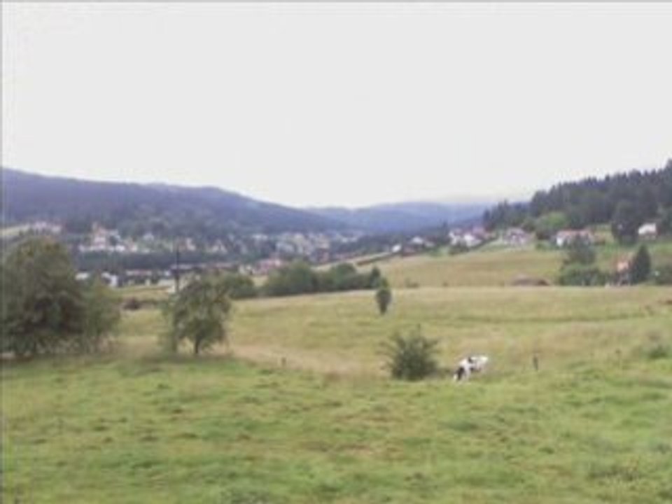 Vacances-dans-les-Vosges - Des Vacances Inoubliables ( PUB )