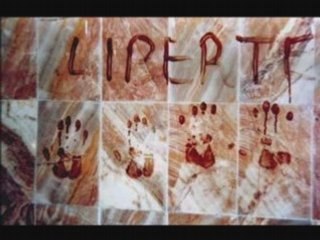 Matoub Lounes - Yema Yema 🎶