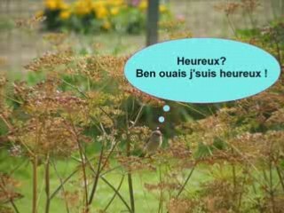 Le jardin botanique  des Trésors Simples à Agny - 62217