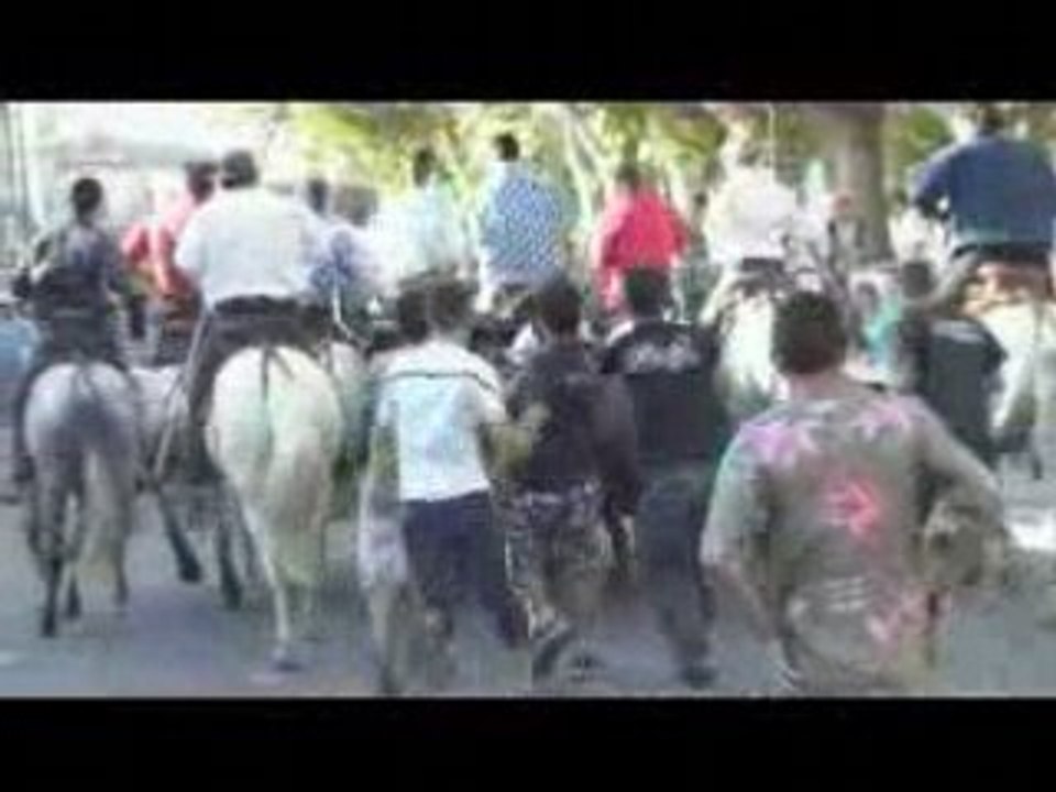 Festiavald'abrivado à aimargues le 18 juillet 08