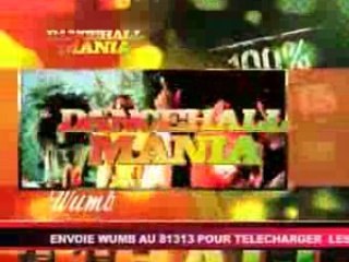 SPOT 2 COUPE DECALE MANIA 2