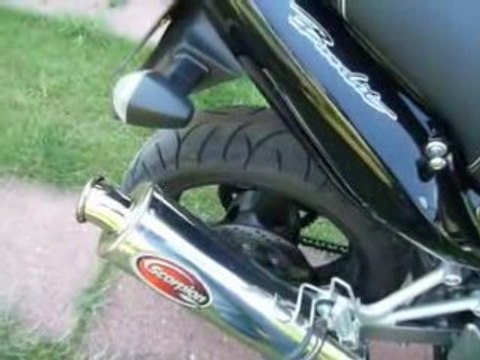 Pots Scorpion Inox déchicané sur 600 Bandit