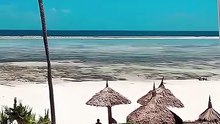 Wakacyjne hity: Tanzania — 03.09.2026 | Lastradar