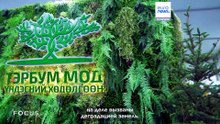 На COP17 в Монголии пообещали направить $1,3 млрд на зеленые инвестиции