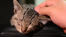 Débito de sono o que é ?