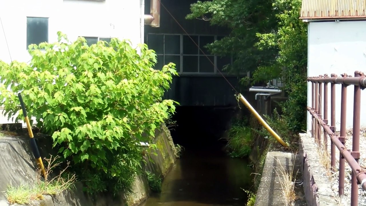 River Under Old Building in Japan!