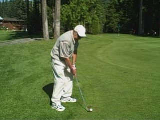 The Short Pitch Shot