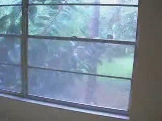 Lutz Town-Home for Sale, Lutz, Florida