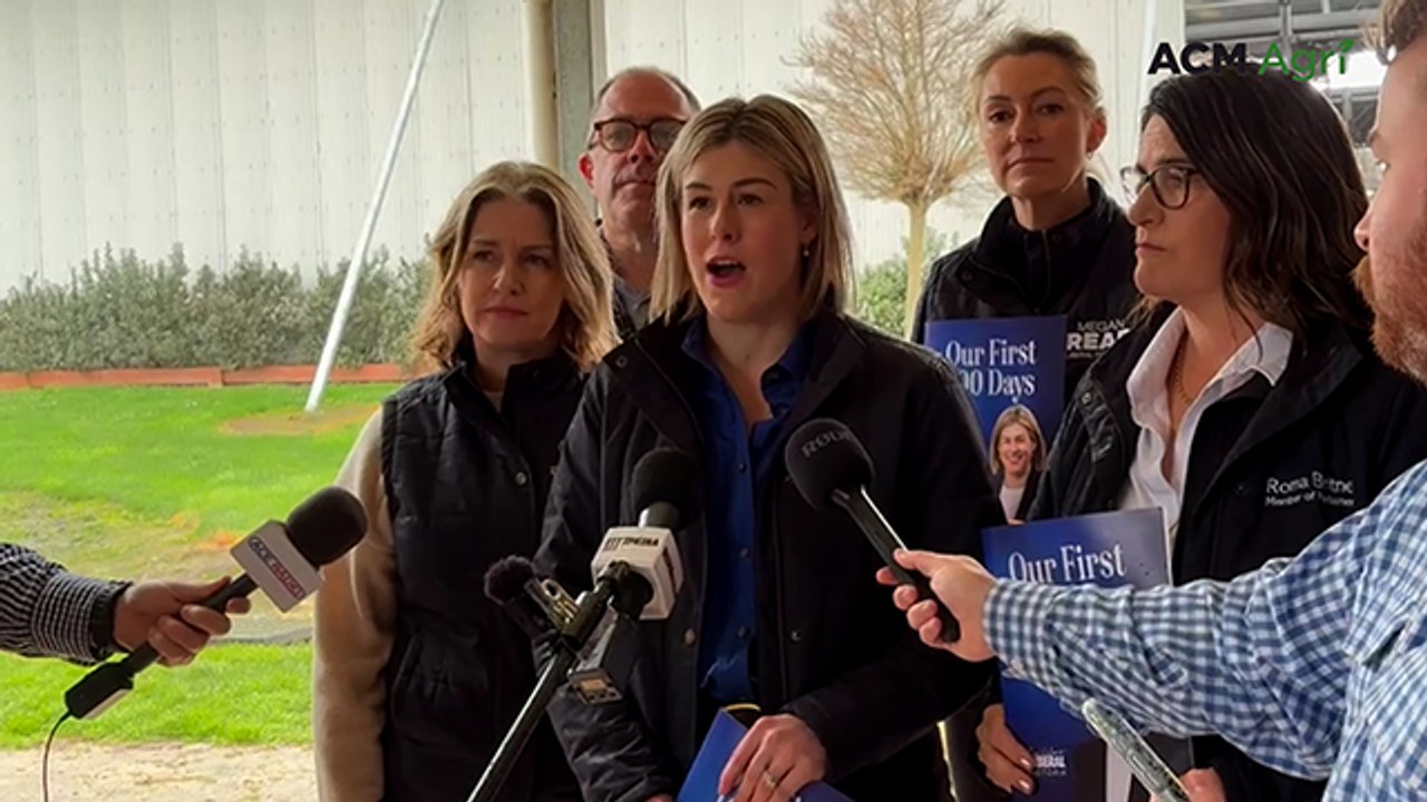 Jess Wilson vows to scrap the VNI West project if elected