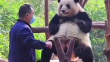 Huahua's Dance Universe｜花花的舞蹈宇宙（18）