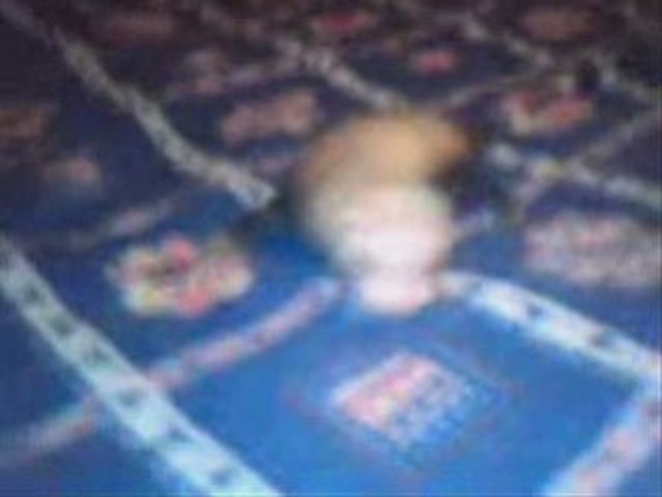 Video bébé furet