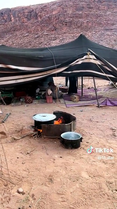 قناة علي الفرهود