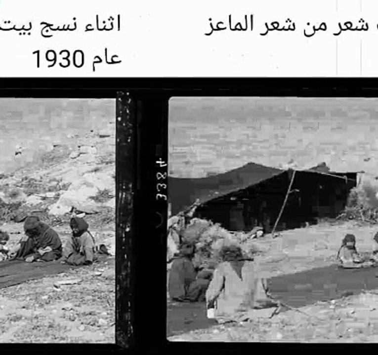 قصة وقصيدة من تراث البادية السعودية