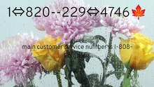 Coinbase Customer Service Free Number - Step-By-Step Guide Explained