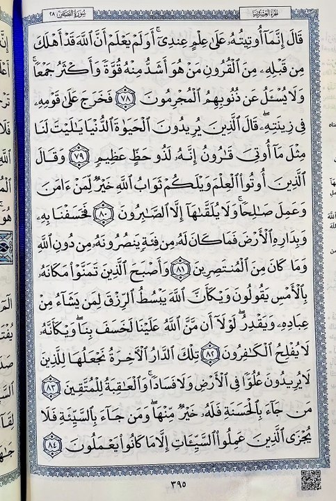 صفحة (395)