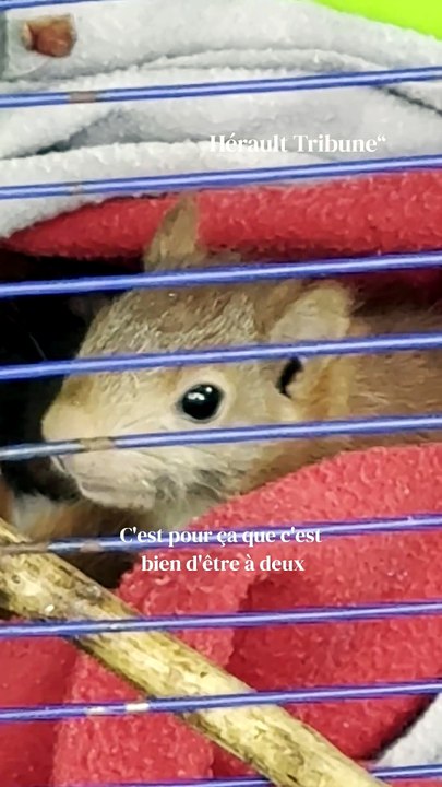 "Il a fallu que l’on apprenne à dire non" : à L...