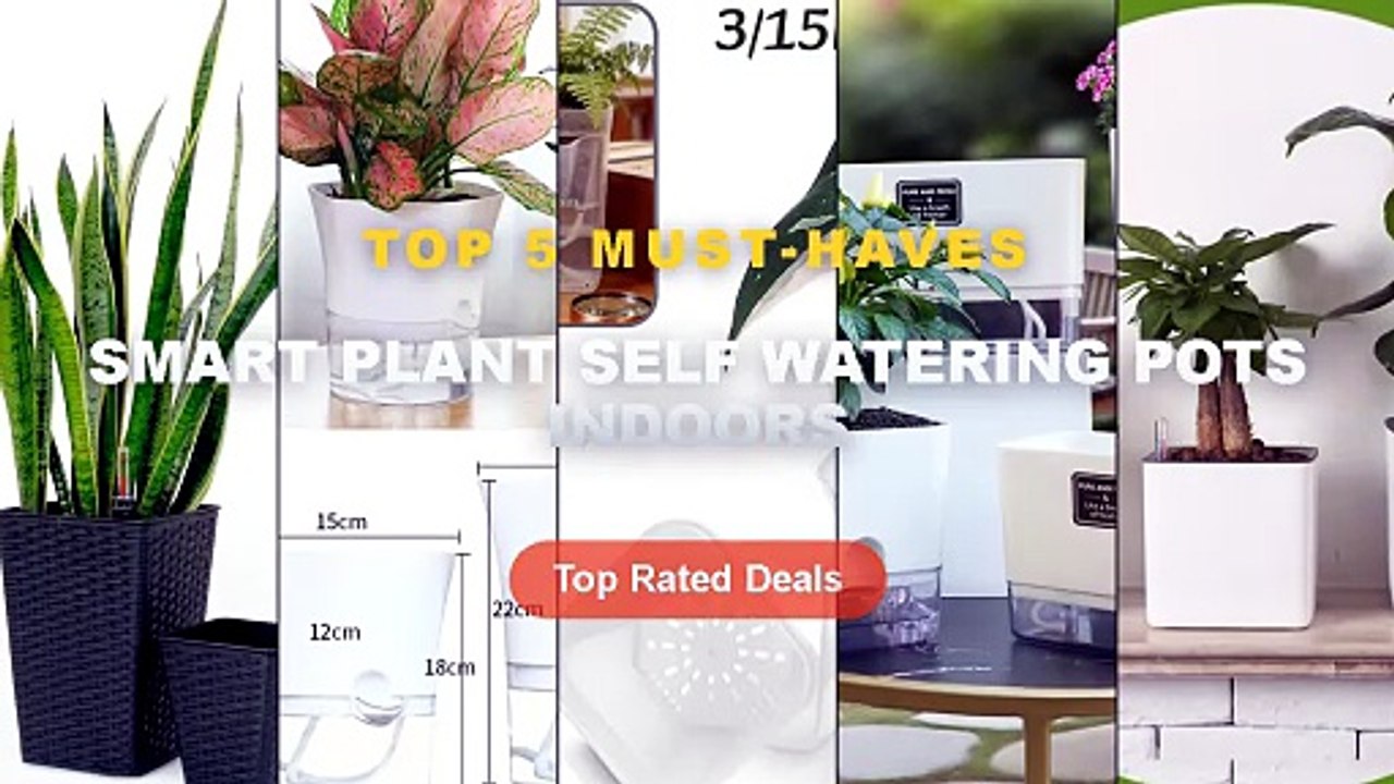 Smart Plant Self Watering Pots Indoors: Top 5 B...