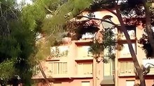 Hotel Fantazia Sharm el Sheikh Egipt Prezentacja