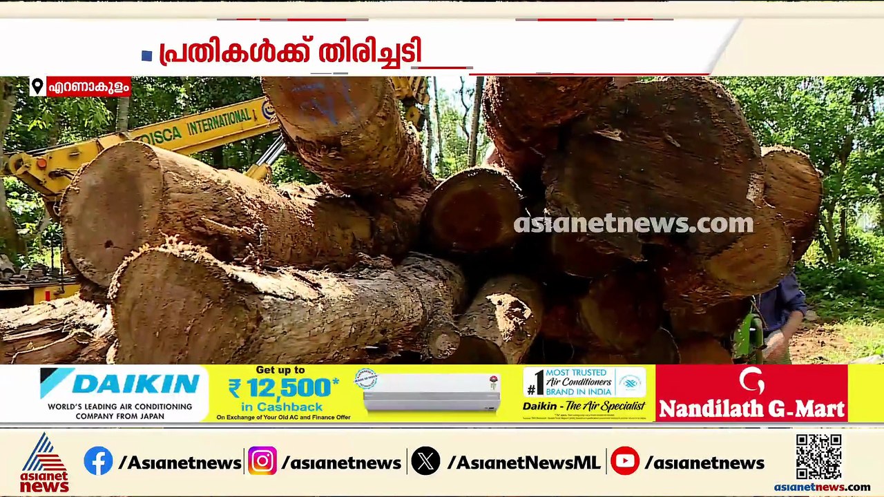 മുട്ടിൽ മരം മുറി കേസ്; പ്രതികളുടെ ഹർജി തള്ളി കോ...