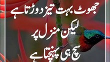 How to get Islamic question