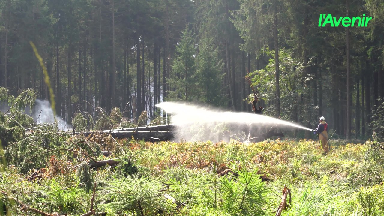"La nature va plus vite que nous", affirme le c...