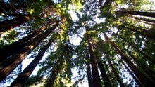 Big Sur Wild California 大索尔海岸线