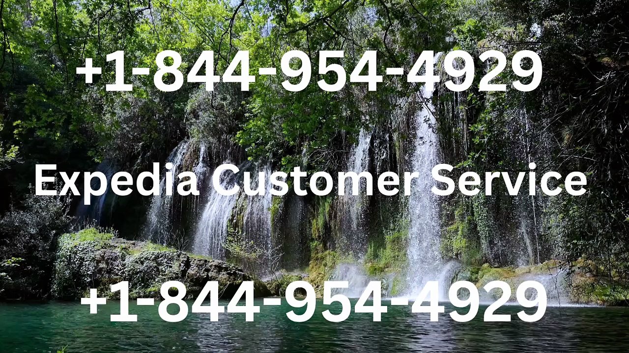 Expedia Customer Support Guide: Easy Ways to Get Help and Resolve Issues