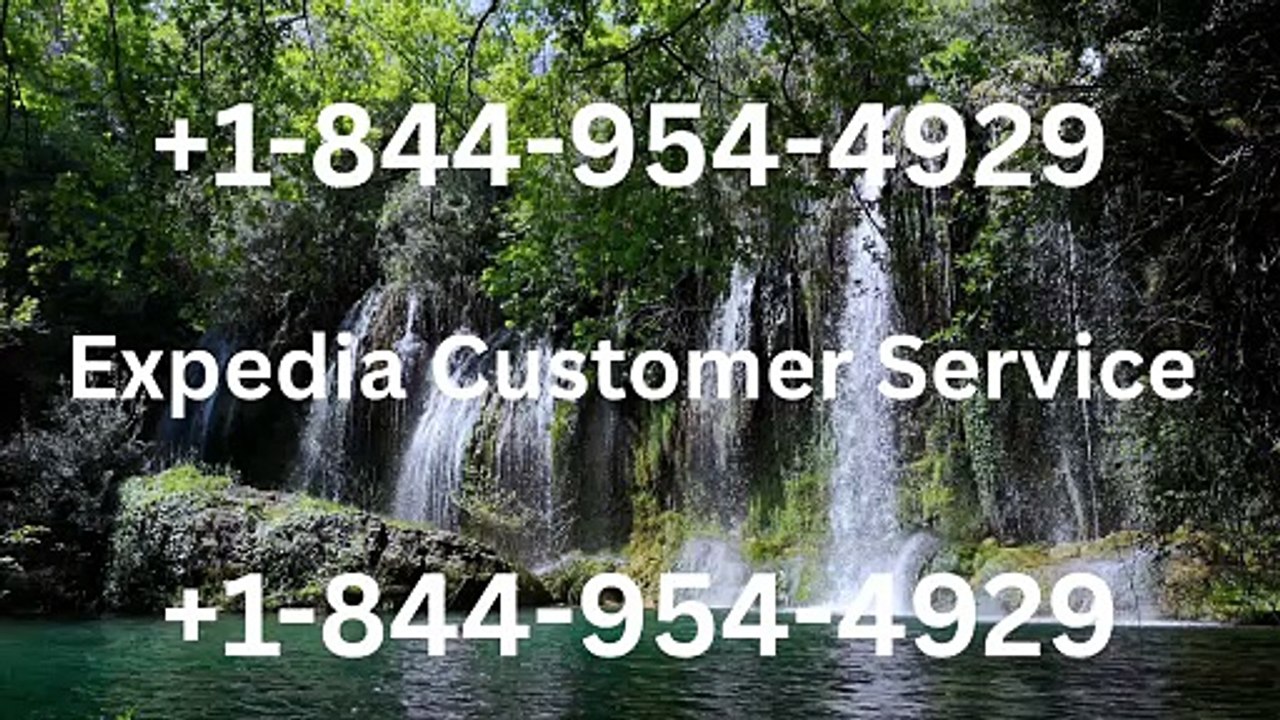 Expedia Customer Service: A Complete Guide to Getting Help & Support