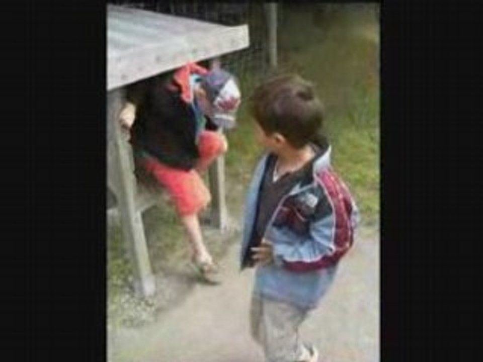 Sortie de tunel (au sentier des daims)