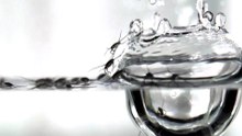 Behind the science: how heavy rain affects insects and its link to microplastics in our waters