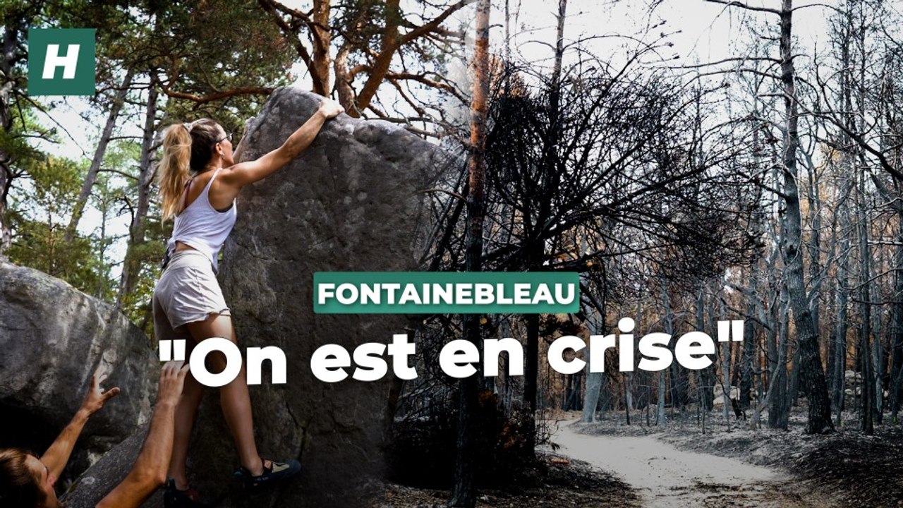 Avec l’incendie de Fontainebleau, les grimpeurs en pleine crise existentielle, s’interrogent sur la forêt de « l’après »