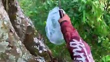 Nature’s Richness in Every Drop