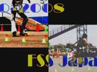80-08 fss japan