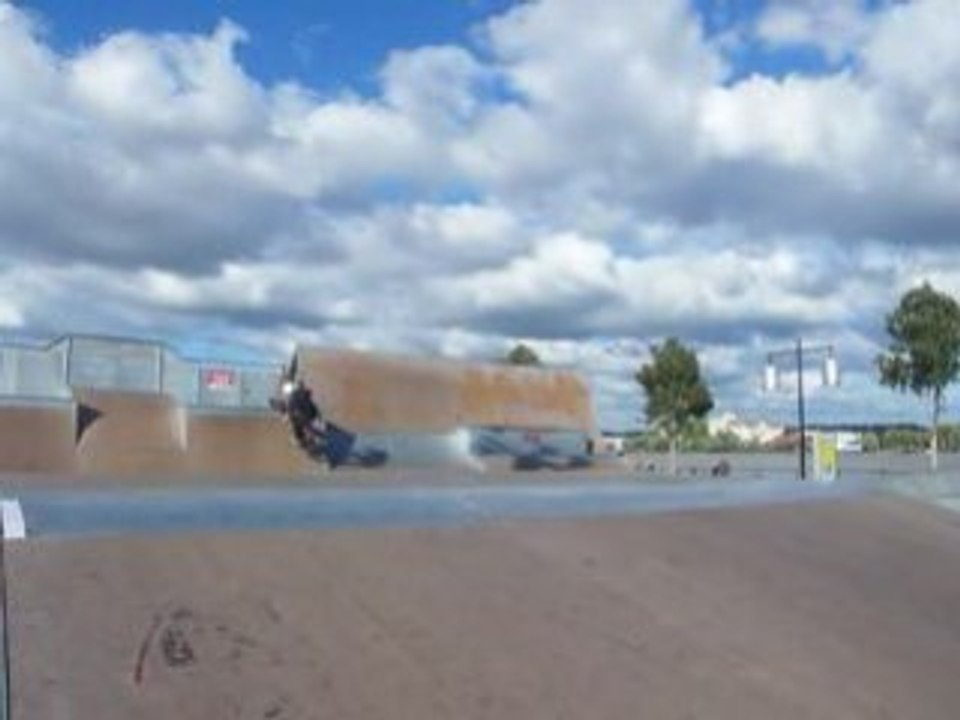 Premier whip de Pico