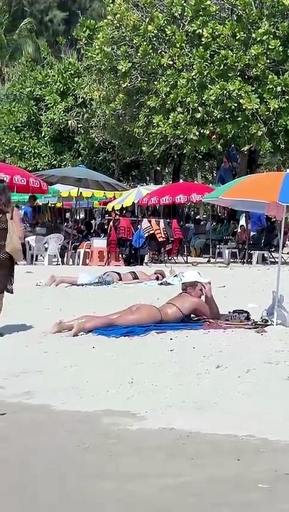 Phuket Beach summer holiday hot day pet travel  TH