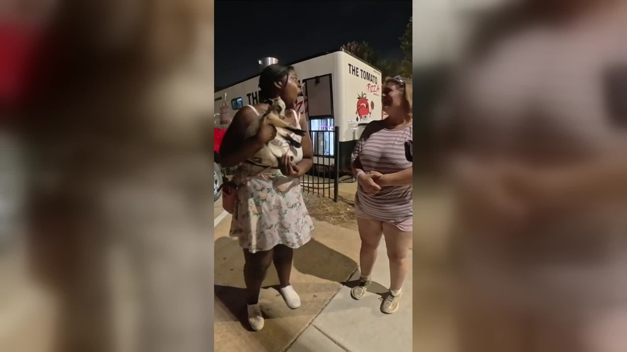 Stranger Shares a Heartwarming Moment With a Goat