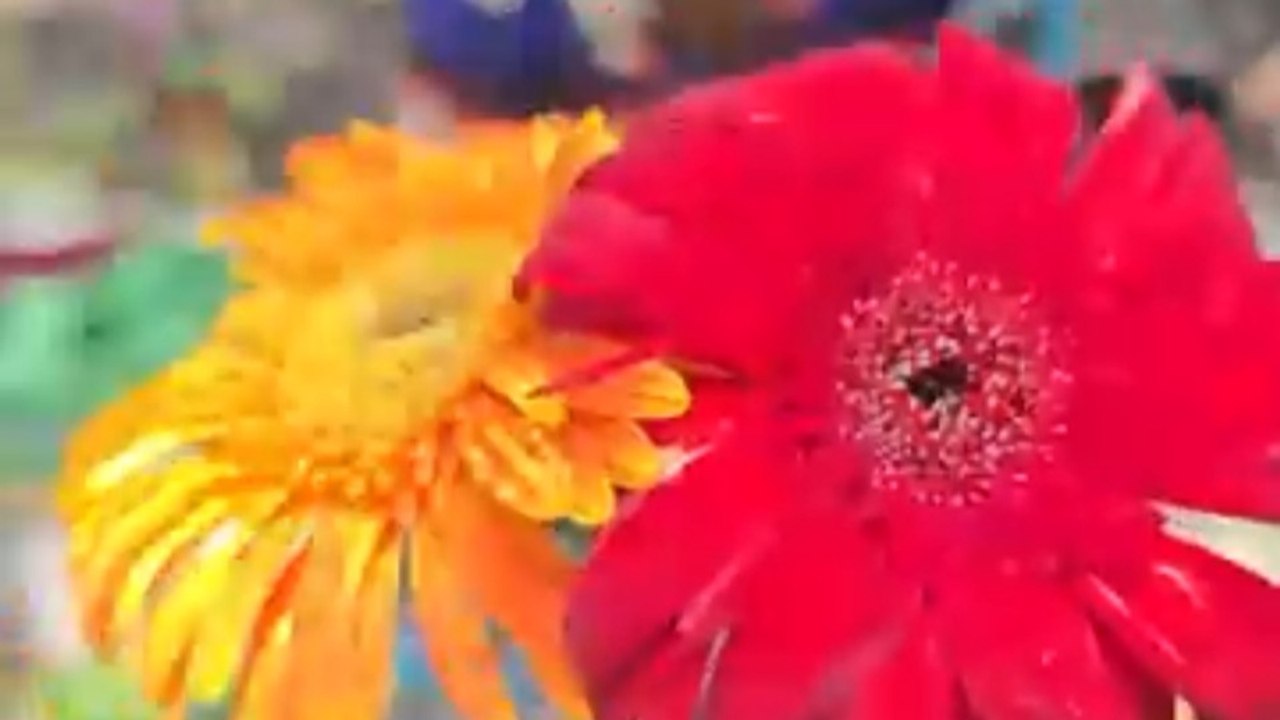 Amazing Root Craft । Creating Flowers from Natural Materials