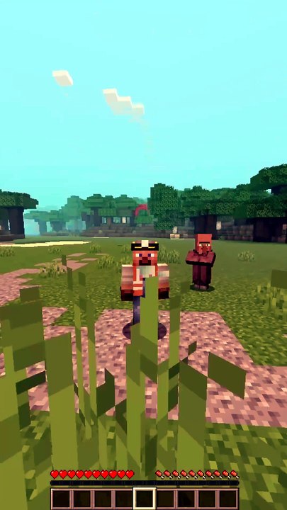 Cut tall grass for find baby villager Minecraft Repair