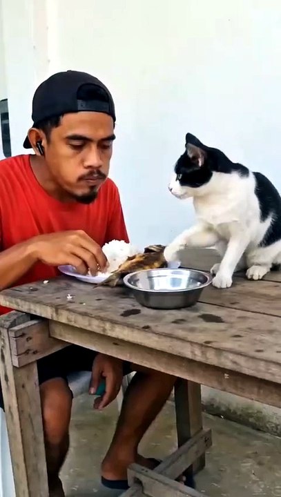 Funny Video 2026 #funny
