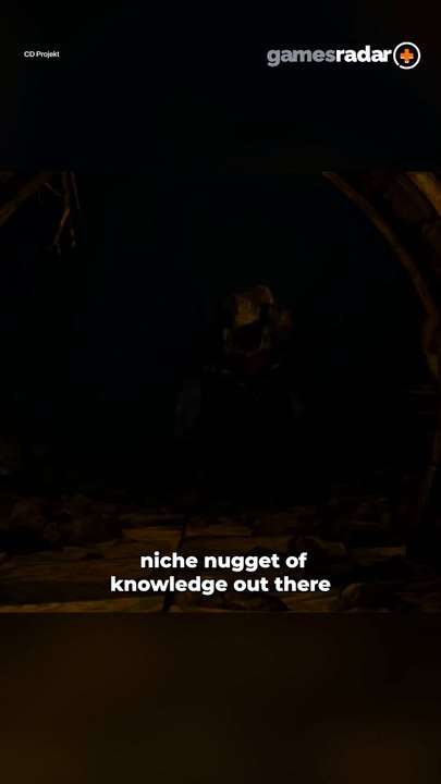 Ever Wondered Why Geralt Carries 2 Swords