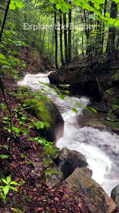 Whispering of Water | Explore the Beauty #water