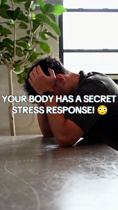 What Happens Inside Your Body When You Feel Stress? 😳