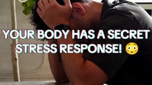 What Happens Inside Your Body When You Feel Stress? 😳