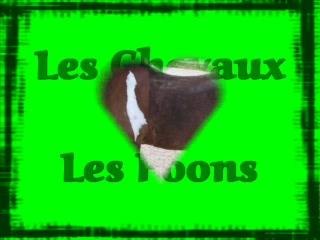 Les chvo et les poons
