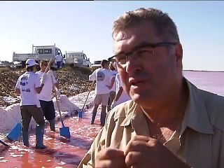 Récolte de la fleur de Sel d'Aigues Mortes, France